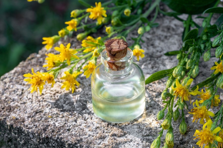 Les fleurs de Bach ont-elles des effets secondaires négatifs ? Les fleurs de Bach ont-elles des effets secondaires négatifs ?