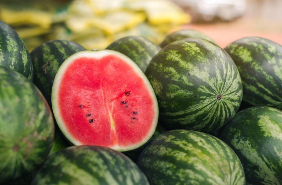 Quels aliments peuvent aider à réduire la faim après avoir mangé ?